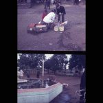 N10.5-perquenco