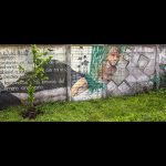 N°9.1-mural-biblioteca-min