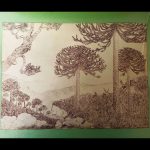 Obra15-min