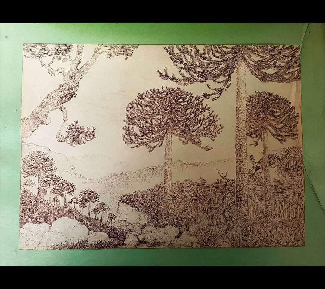 Obra15-min