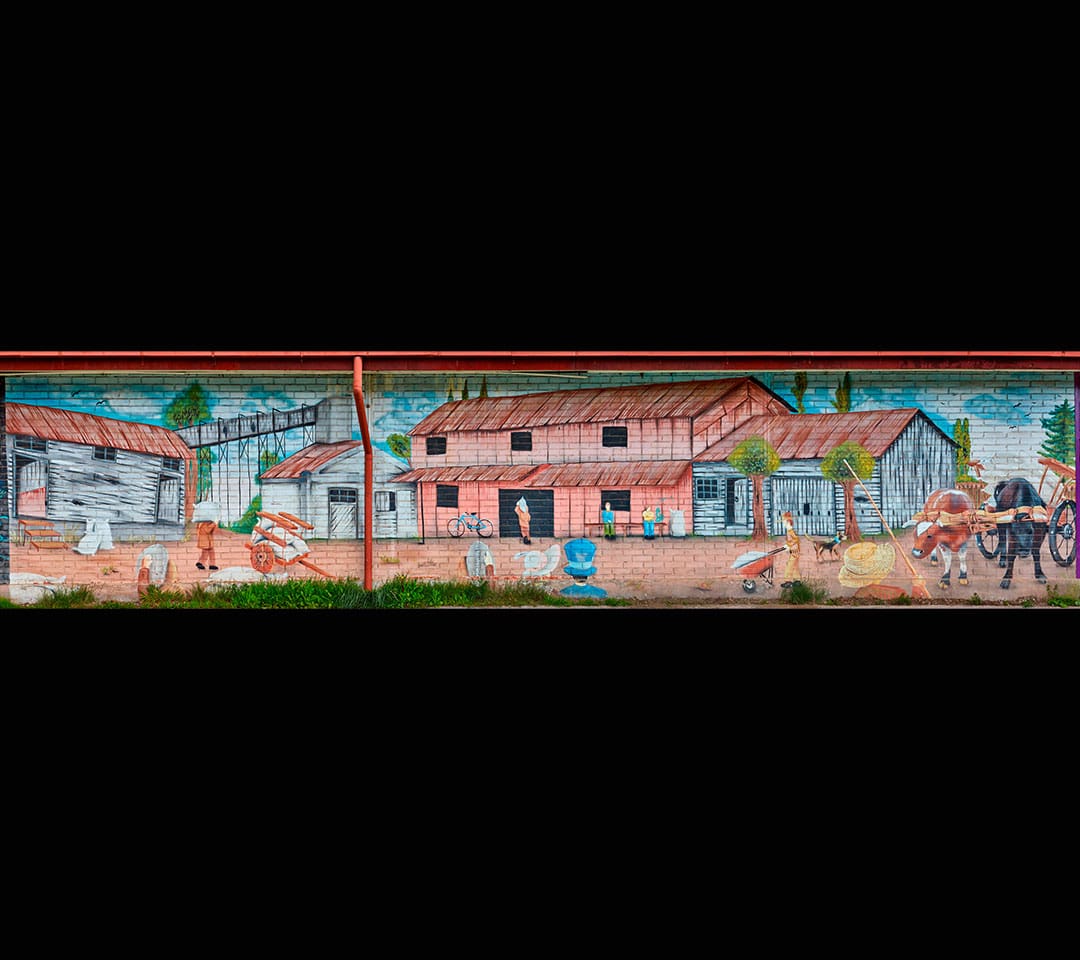 n2-muro-gimnacio-min