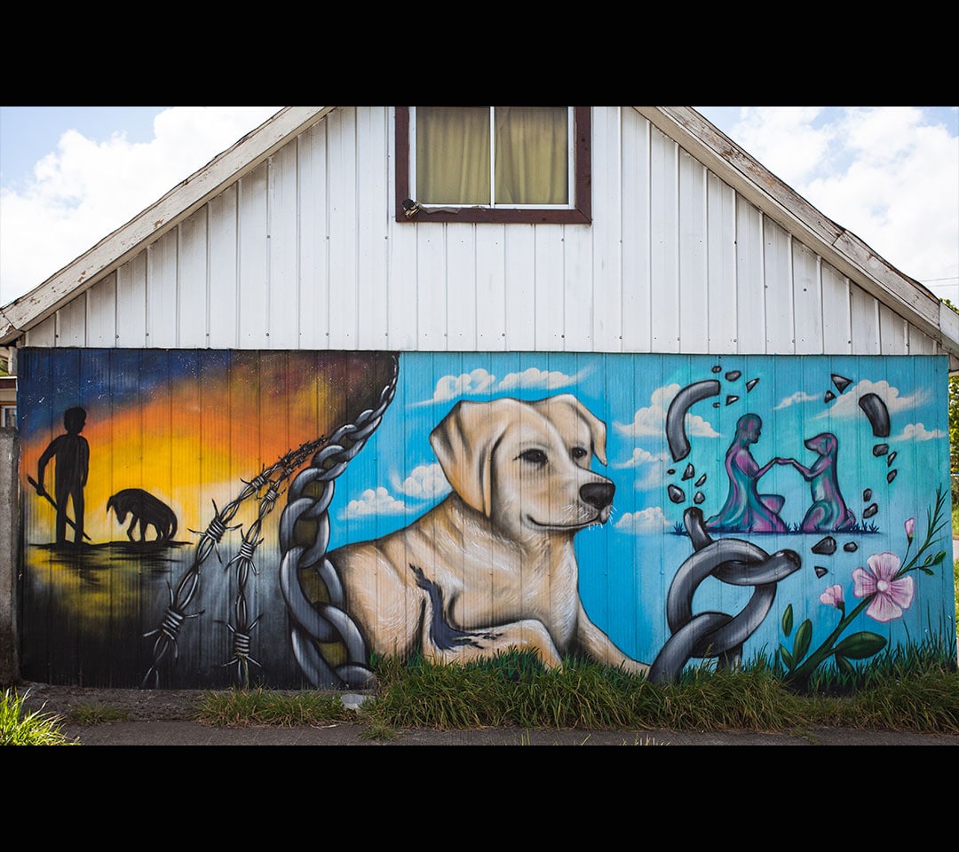 n6-mural-perro-min